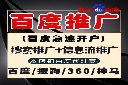 探索SEM优化公司如何助力企业品牌建设
